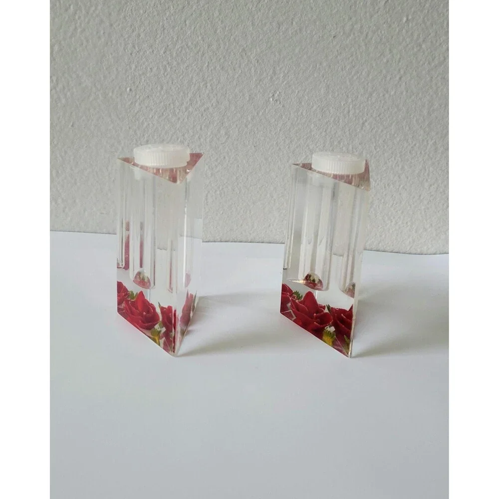 Vintage Clear Lucite Salt and Pepper Shakers Reverse Carved Red Roses Bircraft